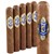 Graycliff Profesionale Series PG (Robusto) (5.2"x50) Pack of 5