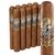 Gurkha 125th Anniversary Rothchild (Toro) (6.0"x54) Pack of 10