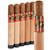 Gurkha Master Select Robusto (6.0"x50) Pack of 5