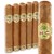 HC Series Connecticut Robusto (5.0"x50) Pack of 5