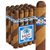 HC Series Blue Barber Pole Gordo (6.0"x60) Pack of 20
