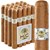 HC Series White Shade Grown Toro (6.5"x52) Pack of 20