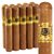 Hoyo Excalibur Epicure (Robusto) (5.2"x50) Pack of 10