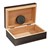 Executive Mahogany Travel Humidor 10 Cigar Capacity