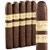 Rocky Patel Decade Robusto (5.0"x50) Pack of 5