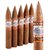 Perdomo Lot 23 Sun Grown Belicoso (5.7"x54) Pack of 5