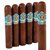 CAO Italia Piazza (Gordo) (6.0"x60) Pack of 5