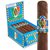 CAO Italia Piazza (Gordo) (6.0"x60) Box of 20