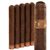 Diesel Corona (5.0"x42) Pack of 5