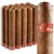 Diesel Unlimited d.6 (Gordo) (6.0"x60) Pack of 15
