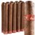 Diesel Unlimited d.7 (Presidente) (7.0"x58) Pack of 10