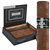 Java Mint Corona (5.0"x42) Box of 24