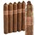 Kristoff Criollo Robusto (5.5"x54) Pack of 5