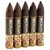 La Perla Habana WIDE Torpedo (5.5"x62) Pack of 5
