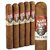 Mark Twain The Press No. 2 (Gordo) (6.0"x60) Pack of 5