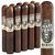 Mark Twain Memoir No. 2 (Gordo) (6.0"x60) Pack of 10