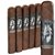 Man O' War Ruination 10th Anniversary (Gordo) (6.0"x60) Pack of 5