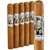 Man O' War Valkyrie Toro (6.1"x50) Pack of 5