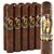 Man O' War Robusto (5.5"x50) Pack of 10