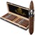 Man O' War Ruination War Horse (Perfecto) (6.5"x64) Box of 10