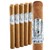 Man O' War Virtue Churchill (7.5"x52) Pack of 5