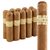 Nub Connecticut by Oliva 354 (Short Robusto) (3.7"x54) Pack of 10