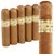 Nub Connecticut by Oliva (Gordo) (4.0"x66) Pack of 5
