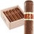 Nub Plus Habano by Oliva 560 (Gordo) (5.0"x60) Box of 10