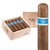 Nub Sumatra (Gordo) (4.0"x60) Box of 10