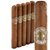 Ortega Cubao Toro (6.0"x50) Pack of 5