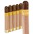 CAO Flavours Bella Vanilla Robusto (5.0"x48) Pack of 5