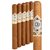 CAO Gold Churchill (7.0"x48) Pack of 5