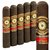 Perdomo 20th Anniversary Maduro Robusto (5.0"x56) Pack of 5