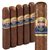 Punch Bareknuckle Rothschild BP (4.5"x50) Pack of 5