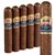 Punch Bareknuckle Robusto (5.0"x50) Pack of 5