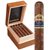 Punch Bareknuckle Pita (Toro) (6.0"x50) Box of 20