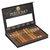 Perdomo Award Winning Connoisseur Collection 12 Cigars
