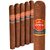 Punch Rothschild (4.5"x50) Pack of 5