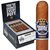 Punch Knuckle Buster Robusto (4.5"x52) Box of 25