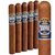 Punch Knuckle Buster Toro (6.0"x50) Pack of 5