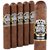 Punch Knuckle Buster Maduro Stubby (Robusto Gordo) (4.5"x60) Pack of 5