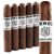 Punch Signature Robusto (5.0"x54) Pack of 5