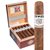 Punch Signature Gigante (6.0"x60) Box of 18