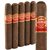 Punch Rare Corojo Magnum (Robusto) (5.2"x54) Pack of 5