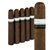 Ramon Bueso Genesis The Project Muy Bueso (5.8"x60) Pack of 5