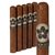 Room101 FARCE Lonsdale (6.5"x42) Pack of 5