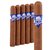 Room 101 Breakfast in Portugal Toro (6.0"x50) Pack of 5