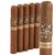 Room101 Doomsayer Toro (6.0"x55) Pack of 5