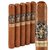 Room101 Doomsayer Aggressive Maduro Toro (6.0"x55) Pack of 5