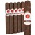 Rocky Patel Sungrown Maduro Toro (6.5"x52) Pack of 5